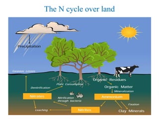 The N cycle over land
 