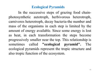 Ecological Pyramids
In the successive steps of grazing food chain-
photosynthetic autotroph, herbivorous heterotroph,
carnivores heterotroph, decay bacteria-the number and
mass of the organisms in each step is limited by the
amount of energy available. Since some energy is lost
as heat, in each transformation the steps become
progressively smaller near the top. This relationship is
sometimes called "ecological pyramid". The
ecological pyramids represent the tropic structure and
also tropic function of the ecosystem.
40
 
