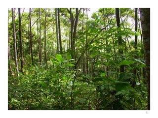 environment , ecosystem and biodiversity | PPTX