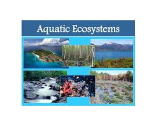 environment , ecosystem and biodiversity | PPTX