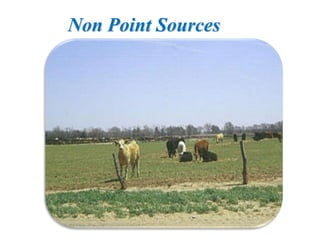 Non Point Sources
 