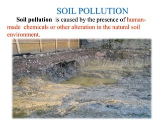 SOIL POLLUTION
Soil pollution is caused by the presence of human-
made chemicals or other alteration in the natural soil
environment.
 