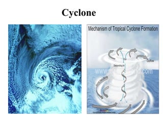 Cyclone
 
