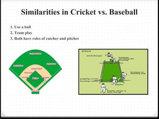 Similarities in Cricket vs. Baseball 
1. Use a ball 
2. Team play 
3. Both have roles of catcher and pitcher 
 