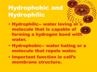 Hydrophobic and 
Hydrophilic 
• Hydrophilic-- water loving or a 
molecule that is capable of 
forming a hydrogen bond with 
water. 
• Hydrophobic-- water hating or a 
molecule that repels water. 
• Important function in cell’s 
membrane structure. 
 