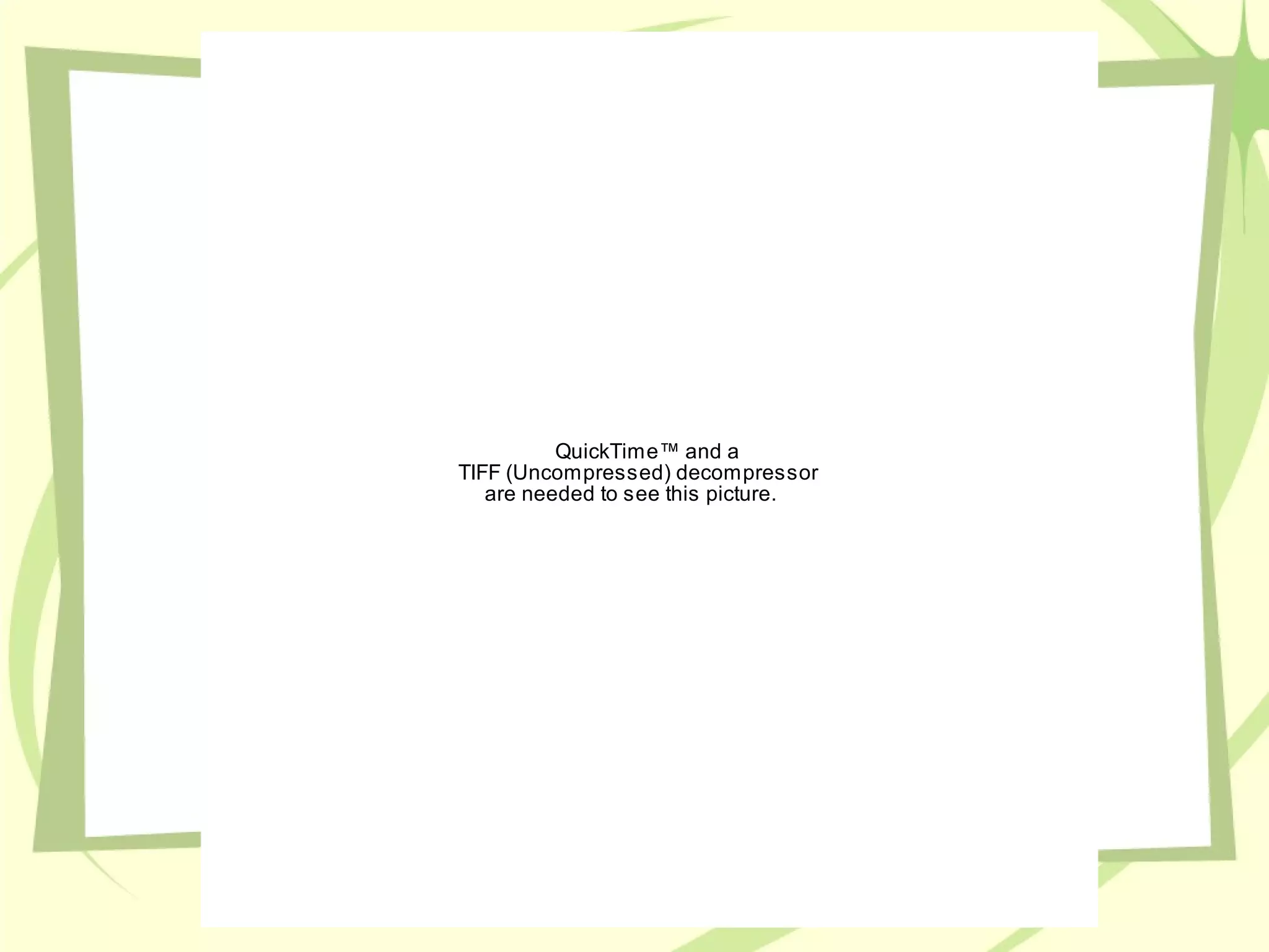 QuickTime™ and a 
TIFF (Uncompressed) decompressor 
are needed to see this picture. 
 