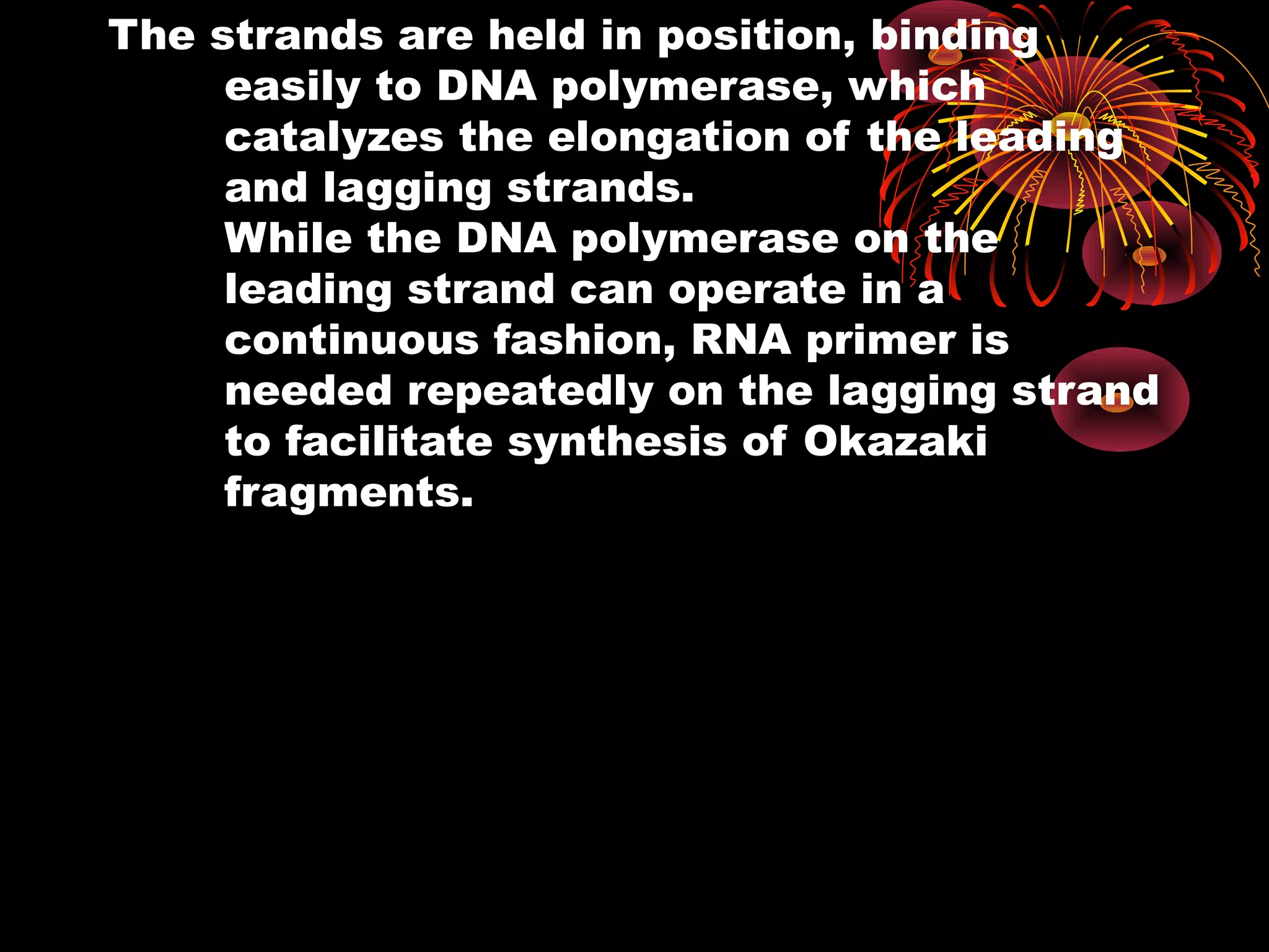 The strands are held in position, binding 
easily to DNA polymerase, which 
catalyzes the elongation of the leading 
and lagging strands. 
While the DNA polymerase on the 
leading strand can operate in a 
continuous fashion, RNA primer is 
needed repeatedly on the lagging strand 
to facilitate synthesis of Okazaki 
fragments. 
 