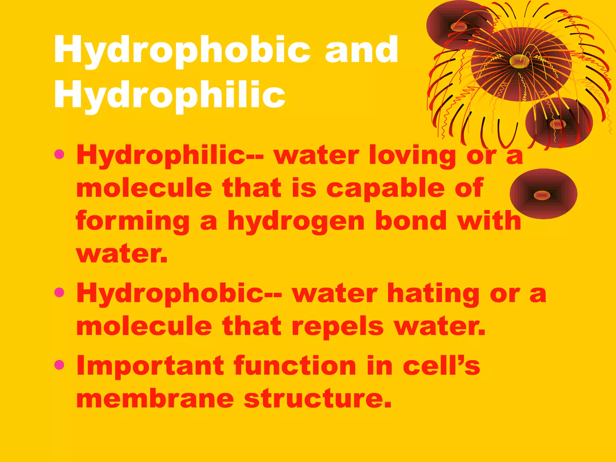 Hydrophobic and 
Hydrophilic 
• Hydrophilic-- water loving or a 
molecule that is capable of 
forming a hydrogen bond with 
water. 
• Hydrophobic-- water hating or a 
molecule that repels water. 
• Important function in cell’s 
membrane structure. 
 