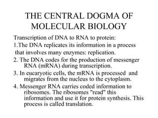 THE CENTRAL DOGMA OF
MOLECULAR BIOLOGY
Transcription of DNA to RNA to protein:
1.The DNA replicates its information in a process
that involves many enzymes: replication.
2. The DNA codes for the production of messenger
RNA (mRNA) during transcription.
3. In eucaryotic cells, the mRNA is processed and
migrates from the nucleus to the cytoplasm.
4. Messenger RNA carries coded information to
ribosomes. The ribosomes "read" this
information and use it for protein synthesis. This
process is called translation.
 