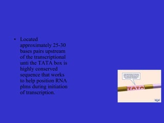 • Located
approximately 25-30
bases pairs upstream
of the transcriptional
unti the TATA box is
highly conserved
sequence that works
to help position RNA
plms during initiation
of transcription.
 
