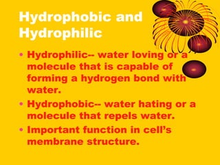 Hydrophobic and
Hydrophilic
• Hydrophilic-- water loving or a
molecule that is capable of
forming a hydrogen bond with
water.
• Hydrophobic-- water hating or a
molecule that repels water.
• Important function in cell’s
membrane structure.
 