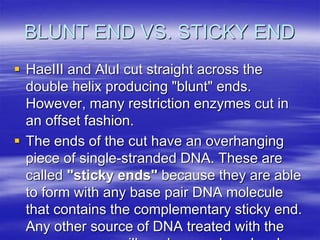 BLUNT END VS. STICKY END
 HaeIII and AluI cut straight across the
double helix producing "blunt" ends.
However, many restriction enzymes cut in
an offset fashion.
 The ends of the cut have an overhanging
piece of single-stranded DNA. These are
called "sticky ends" because they are able
to form with any base pair DNA molecule
that contains the complementary sticky end.
Any other source of DNA treated with the
 