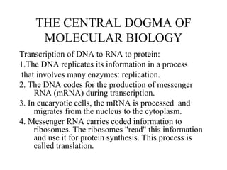 THE CENTRAL DOGMA OF
MOLECULAR BIOLOGY
Transcription of DNA to RNA to protein:
1.The DNA replicates its information in a process
that involves many enzymes: replication.
2. The DNA codes for the production of messenger
RNA (mRNA) during transcription.
3. In eucaryotic cells, the mRNA is processed and
migrates from the nucleus to the cytoplasm.
4. Messenger RNA carries coded information to
ribosomes. The ribosomes "read" this information
and use it for protein synthesis. This process is
called translation.
 