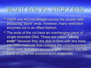 BLUNT END VS. STICKY END
BLUNT END VS. STICKY END
 HaeIII and AluI cut straight across the double helix
HaeIII and AluI cut straight across the double helix
producing "blunt" ends. However, many restriction
producing "blunt" ends. However, many restriction
enzymes cut in an offset fashion.
enzymes cut in an offset fashion.
 The ends of the cut have an overhanging piece of
The ends of the cut have an overhanging piece of
single-stranded DNA. These are called
single-stranded DNA. These are called "sticky
"sticky
ends"
ends" because they are able to form with any base
because they are able to form with any base
pair DNA molecule that contains the complementary
pair DNA molecule that contains the complementary
sticky end. Any other source of DNA treated with the
sticky end. Any other source of DNA treated with the
same enzyme will produce such molecules.
same enzyme will produce such molecules.
 