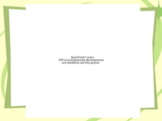 QuickTime™ and a
TIFF (Uncompressed) decompressor
are needed to see this picture.
 