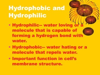 Hydrophobic and
Hydrophilic
• Hydrophilic-- water loving or a
molecule that is capable of
forming a hydrogen bond with
water.
• Hydrophobic-- water hating or a
molecule that repels water.
• Important function in cell’s
membrane structure.
 