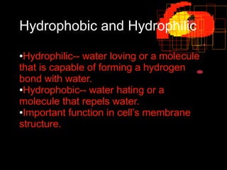 Hydrophobic and Hydrophilic
●Hydrophilic-- water loving or a molecule
that is capable of forming a hydrogen
bond with wate...