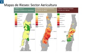 Mapas de Riesgo: Sector Agricultura
 