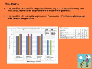 Resultados Las semillas de maravilla  regadas sólo con  agua, con enraizaizante y con fertilizante,  demoraron en promedio lo mismo en germinar . Las semillas  de maravilla regadas con Enraizante + Fertilizante  demoraron más tiempo en germinar. 