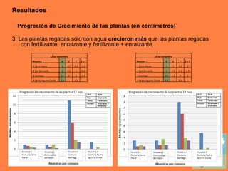Progresión de Crecimiento de las plantas (en centímetros) 3. Las plantas regadas sólo con agua  crecieron   más  que las plantas regadas con fertilizante, enraizante y fertilizante + enraizante. Resultados 12 de noviembre Muestra  A E F E + F 1 Cerro Navia 1 0,7 0,5 0,3 2 San Bernardo 1 0,5 1 0,2 3 Santiago 11 6 2 1,5 4 Pedro Aguirre Cerda 1,5   1,5   19 de noviembre Muestra  A E F E + F 1 Cerro Navia 3 1 1.6 1 2 San Bernardo 3 1.5 3.5 1.5 3 Santiago 16 1.2 4 3 4 Pedro Aguirre Cerda 5.5 -- 0.5 -- 