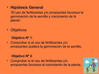 Hipótesis General “ El uso de fertilizantes y/o enraizantes favorece la germinación de la semilla y crecimiento de la planta”. Objetivos  Objetivo Nº 1 :  Comprobar si el uso de fertilizantes y/o enraizantes acelera la germinación de la semilla. Objetivo Nº 2 : Comprobar si el uso de fertilizantes y/o enraizantes favorece el crecimiento de la planta. 