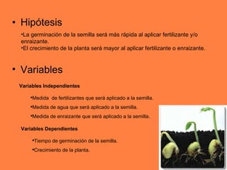 Hipótesis Variables La germinación de la semilla será más rápida al aplicar fertilizante y/o enraizante. El crecimiento de la planta será mayor al aplicar fertilizante o enraizante. Variables Independientes Medida  de fertilizantes que será aplicado a la semilla. Medida de agua que será aplicado a la semilla. Medida de enraizante que será aplicado a la semilla. Variables Dependientes Tiempo de germinación de la semilla. Crecimiento de la planta. 