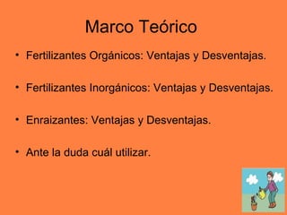 Marco Teórico  Fertilizantes Orgánicos: Ventajas y Desventajas. Fertilizantes Inorgánicos: Ventajas y Desventajas. Enraizantes: Ventajas y Desventajas. Ante la duda cuál utilizar. 