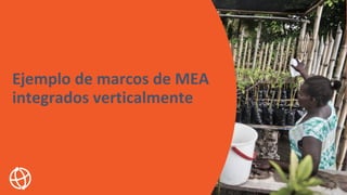 Ejemplo de marcos de MEA
integrados verticalmente
 