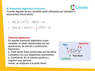 Comprehensive Guide to Algebraic Expressions and Polynomials | PPTX