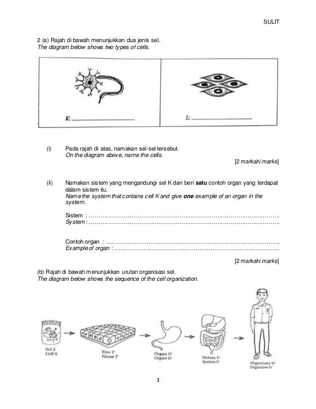 Ppt sains tingkatan 1