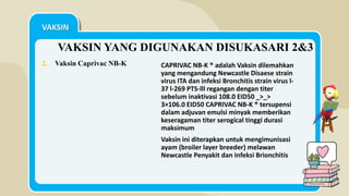 Ppt fajar LAPORAN PKL | PPTX