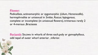 Flower:
Pedicellate, actinomorphic or zygomorphic (Lilium, Hemerocallis),
hermaphrodite or unisexual in Smilax, Ruscus; hypogynous,
complete or incomplete (in unisexual flowers), trimerous rarely 2
or 4-merous ,Bracteate
Perianth: Six,two in whorls of three each,poly or gamophyllous,
odd tepal of outer whorl anterior , inferior.
 
