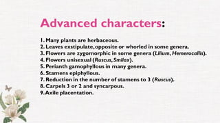 Advanced characters:
1. Many plants are herbaceous.
2. Leaves exstipulate,opposite or whorled in some genera.
3. Flowers are zygomorphic in some genera (Lilium, Hemerocallis).
4. Flowers unisexual (Ruscus,Smilax).
5. Perianth gamophyllous in many genera.
6. Stamens epiphyllous.
7. Reduction in the number of stamens to 3 (Ruscus).
8. Carpels 3 or 2 and syncarpous.
9.Axile placentation.
 