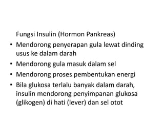 Fungsi Insulin (Hormon Pankreas)
• Mendorong penyerapan gula lewat dinding
usus ke dalam darah
• Mendorong gula masuk dalam sel
• Mendorong proses pembentukan energi
• Bila glukosa terlalu banyak dalam darah,
insulin mendorong penyimpanan glukosa
(glikogen) di hati (lever) dan sel otot
 