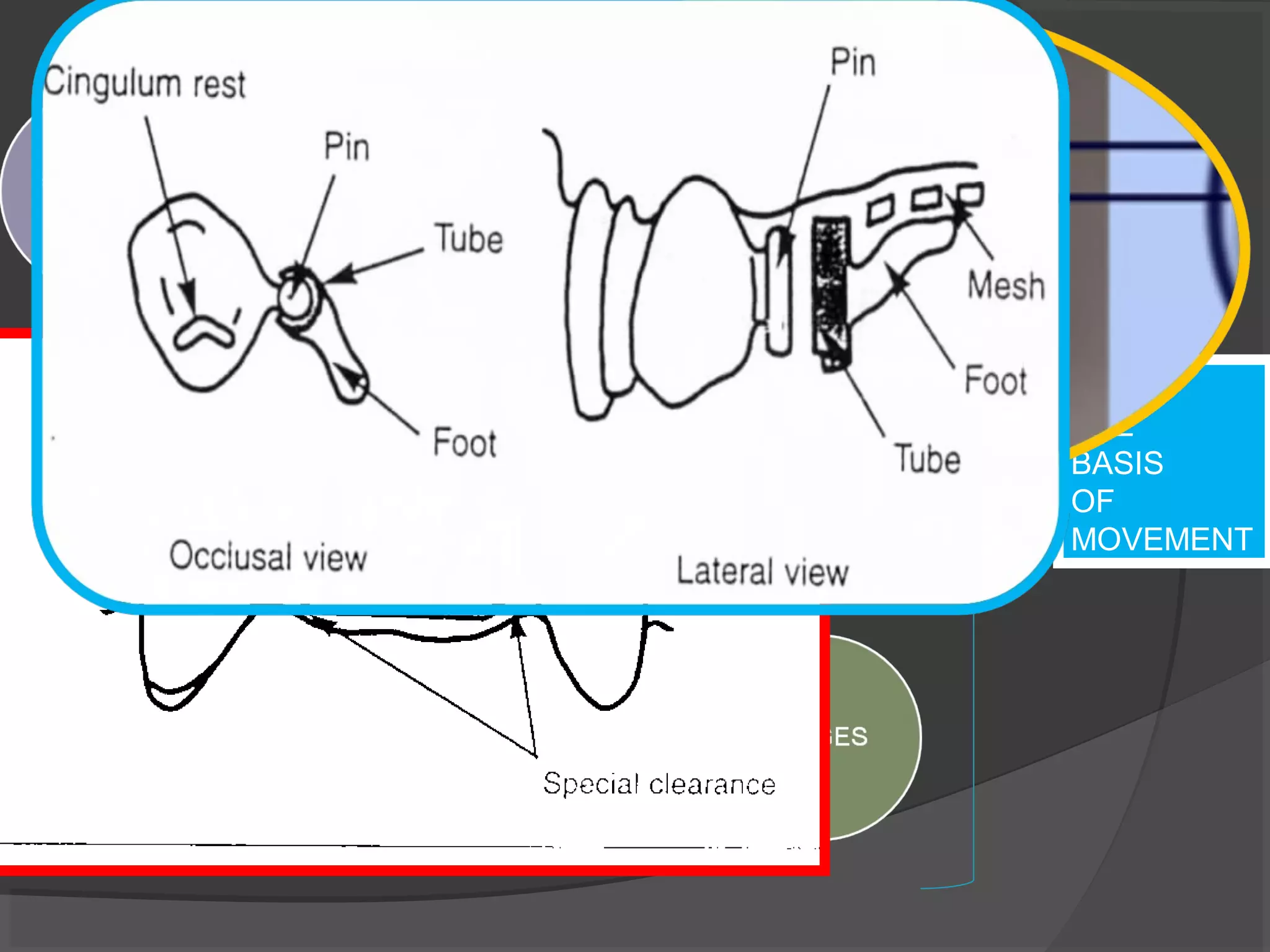 ON
THE
BASIS
OF
MOVEMENT

 