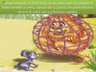Tiempo después, la fiera cayó en las redes que un cazador le
había tendido y como, a pesar de su fuerza, no podía librarse,
          atronó la selva con sus furiosos rugidos.
 