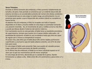 Tercer Trimestre.
Durante el último trimestre del embarazo, el feto aumenta notablemente de
tamaño y de peso. Este período se caracteriza por un evidente desarrollo del
sistema nervioso y un considerable aumento del número de células cerebrales.
Es fundamental que en esta etapa la madre tenga una alimentación rica en
proteínas para ayudar a que el desarrollo del cerebro infantil se complete en
buena forma.
Al séptimo mes de embarazo, el feto ha ocupado casi todo el espacio
disponible en el útero y muchos bebés en esta etapa se acomodan tomando
una posición invertida. Así, el movimiento de pies y rodillas se torna más libre
y puede percibiese desde el exterior del vientre materno.
Si el nacimiento ocurre en este período, el bebé tiene un excelente pronóstico
de supervivencia, siempre que cuente con el apoyo médico adecuado, y la
posibilidad de mantener al bebé en una incubadora hasta que éste sea capaz
de regular por sí mismo su temperatura corporal.
Al octavo mes, sólo falta que el bebé desarrolle ciertos tejidos pulmonares
superficiales y una buena capa de tejido adiposo aislante, con el fin de estar
listo para nacer.
En esta etapa el bebé suele presentar hipo, que puede ser causado porque
traga y bota por la boca porciones de líquido amniótico.
En el último mes de embarazo, el bebé ya no tiene suficiente espacio en el
útero por lo que sus movimientos son de menor amplitud.
En esta etapa de término, desciende por la cavidad de la pelvis, fijando
firmemente su cabeza a ella. Mide entre 48 y 52 centímetros y pesa entre 2,7 y
4 kilos.
 