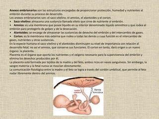 Anexos embrionarios son las estructuras encargadas de proporcionar protección, humedad y nutrientes al
embrión durante su proceso de desarrollo.
Los anexos embrionarios son: el saco vitelino, el amnios, el alantoides y el corion.
• Saco vitelino: almacena una sustancia llamada vitelo que sirve de nutriente al embrión.
• Amnios: es una membrana que posee líquido en su interior denominado líquido amniótico y que rodea al
embrión para protegerlo de golpes y de la desecación.
• Alantoides: se encarga de almacenar las sustancias de desecho del embrión y del intercambio de gases.
• Corion: es la membrana más externa que rodea a todas las demás y cuya función es el intercambio de
gases, nutrientes y otras sustancias.
En la especie humana el saco vitelino y el alantoides disminuyen su nivel de importancia con relación al
desarrollo fetal; no así el amnios, que conserva sus funciones. El corion en tanto, dará origen a un nuevo
órgano: la placenta.
Placenta es el órgano que aporta los nutrientes y el oxígeno necesario para la supervivencia del embrión y
elimina los desechos producidos por él.
La placenta está formada por tejidos de la madre y del feto, ambos ricos en vasos sanguíneos. Sin embargo, la
sangre materna y la fetal nunca se mezclan directamente.
La comunicación fisiológica entre la madre y el feto se logra a través del cordón umbilical, que permite al feto
nadar libremente dentro del amnios.
 