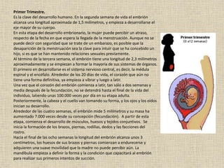Primer Trimestre.
Es la clave del desarrollo humano. En la segunda semana de vida el embrión
alcanza una longitud aproximada de 1,5 milímetros, y empieza a desarrollarse el
eje mayor de su cuerpo.
En esta etapa del desarrollo embrionario, la mujer puede percibir un atraso,
respecto de la fecha en que espera la llegada de la menstruación. Aunque no se
puede decir con seguridad que se trate de un embarazo, es posible que la
desaparición de la menstruación sea la clave para intuir que se ha concebido un
hijo, si es que se han mantenido relaciones sexuales previamente.
Al término de la tercera semana, el embrión tiene una longitud de 2,3 milímetros
aproximadamente y se empiezan a formar la mayoría de sus sistemas de órganos.
El primero en desarrollarse es el sistema nervioso central, es decir, la médula
espinal y el encéfalo. Alrededor de los 20 días de vida, el corazón que aún no
tiene una forma definitiva, ya empieza a vibrar y luego a latir.
Una vez que el corazón del embrión comienza a latir, tan sólo a dos semanas y
media después de la fecundación, no se detendrá hasta el final de la vida del
individuo, latiendo unas 100.000 veces por día en su etapa adulta.
Posteriormente, la cabeza y el cuello van tomando su forma, y los ojos y los oídos
inician su desarrollo.
Alrededor de las cuatro semanas, el embrión mide 5 milímetros y su masa ha
aumentado 7.000 veces desde su concepción (fecundación). A partir de esta
etapa, comienza el desarrollo de músculos, huesos y tejidos conjuntivos. Se
inicia la formación de los brazos, piernas, rodillas, dedos y las facciones del
rostro.
Hacia el final de las ocho semanas la longitud del embrión alcanza unos 3
centímetros, los huesos de sus brazos y piernas comienzan a endurecerse y
adquieren una suave movilidad que la madre no puede percibir aún. La
mandíbula empieza a definir la forma y la condición que capacitará al embrión
para realizar sus primeros intentos de succión.
 