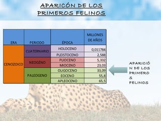 APARICIÓAPARICIÓ
N DE LOSN DE LOS
PRIMEROPRIMERO
SS
FELINOSFELINOS
APARICÓN DE LOSAPARICÓN DE LOS
PRIMEROS FELINOSPRIMEROS FELINOS
 