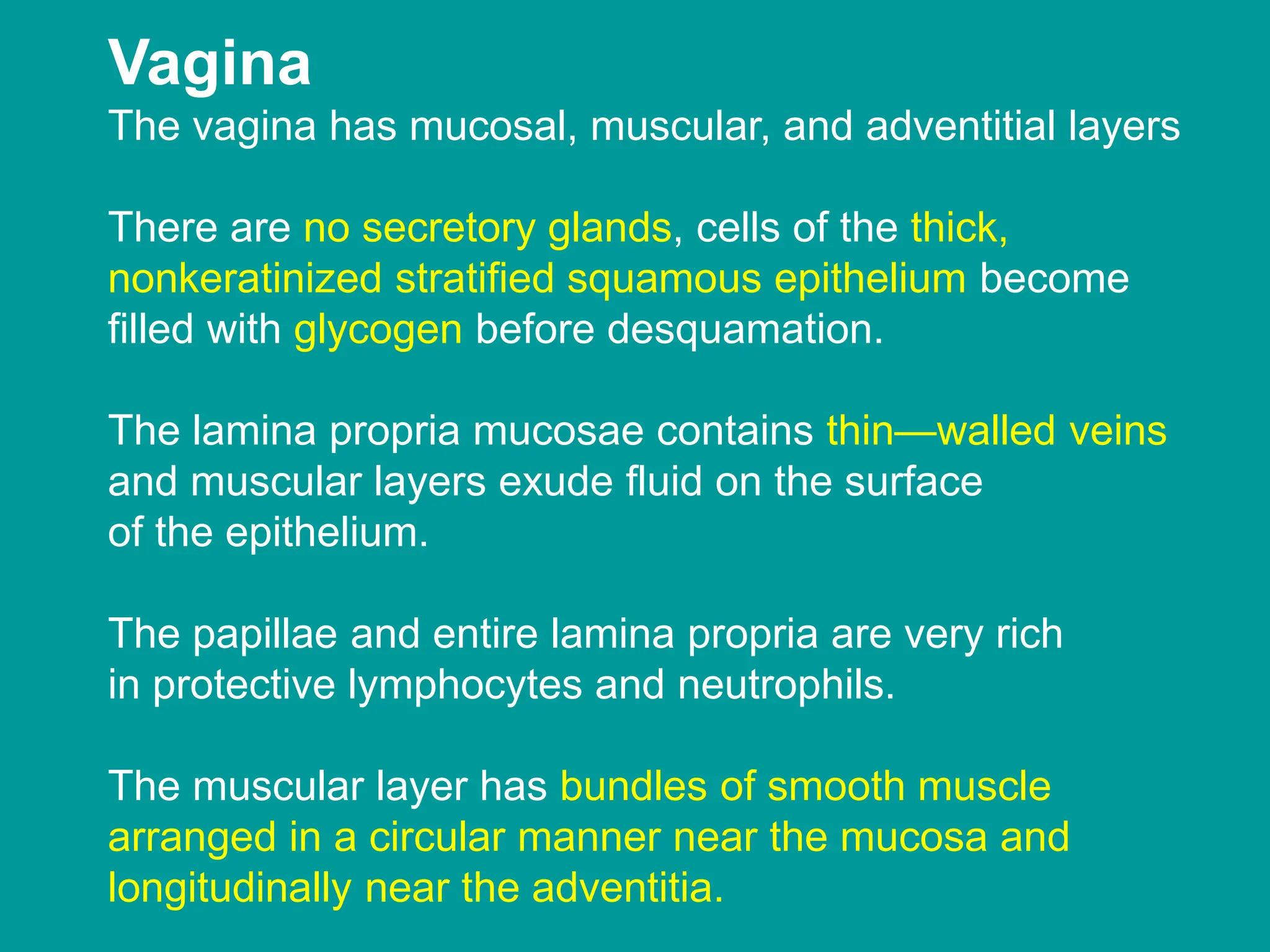 ppt-female-genital-system-reproductive-system-pdf