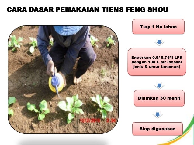 Pupuk pertanian Feng Shou Tiens