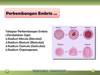 PPT FERTILISASI DAN PERKEMBANGAN EMBRIOKELAS 9.ppt