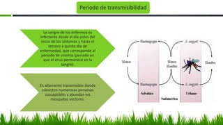 Periodo de transmisibilidad
La sangre de los enfermos es
infectante desde el día antes del
inicio de los síntomas y hasta el
tercero a quinto día de
enfermedad, que corresponde al
período de viremia (período en
que el virus permanece en la
sangre).
Es altamente transmisible donde
coexisten numerosas personas
susceptibles y abundan los
mosquitos vectores.
 