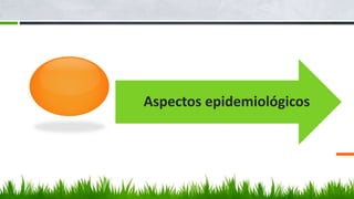 Aspectos epidemiológicos
 