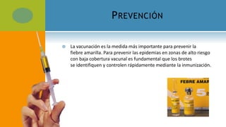 PREVENCIÓN
 La vacunación es la medida más importante para prevenir la
fiebre amarilla. Para prevenir las epidemias en zonas de alto riesgo
con baja cobertura vacunal es fundamental que los brotes
se identifiquen y controlen rápidamente mediante la inmunización.
 