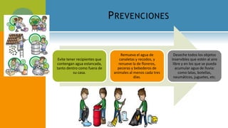 PREVENCIONES
Evite tener recipientes que
contengan agua estancada,
tanto dentro como fuera de
su casa.
Remueva el agua de
canaletas y recodos, y
renueve la de floreros,
peceras y bebederos de
animales al menos cada tres
días.
Deseche todos los objetos
inservibles que estén al aire
libre y en los que se pueda
acumular agua de lluvia:
como latas, botellas,
neumáticos, juguetes, etc.
 