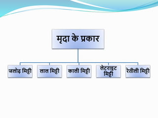 मृदा क
े प्रकार
जलोढ़ ममट्टी लाल ममट्टी काली ममट्टी
लेटराइट
ममट्टी
रेतीली ममट्टी
 