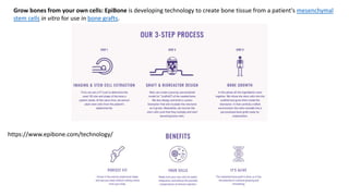Bone Tissue Engineering | PPTX