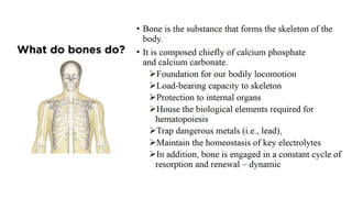 Bone Tissue Engineering | PPTX